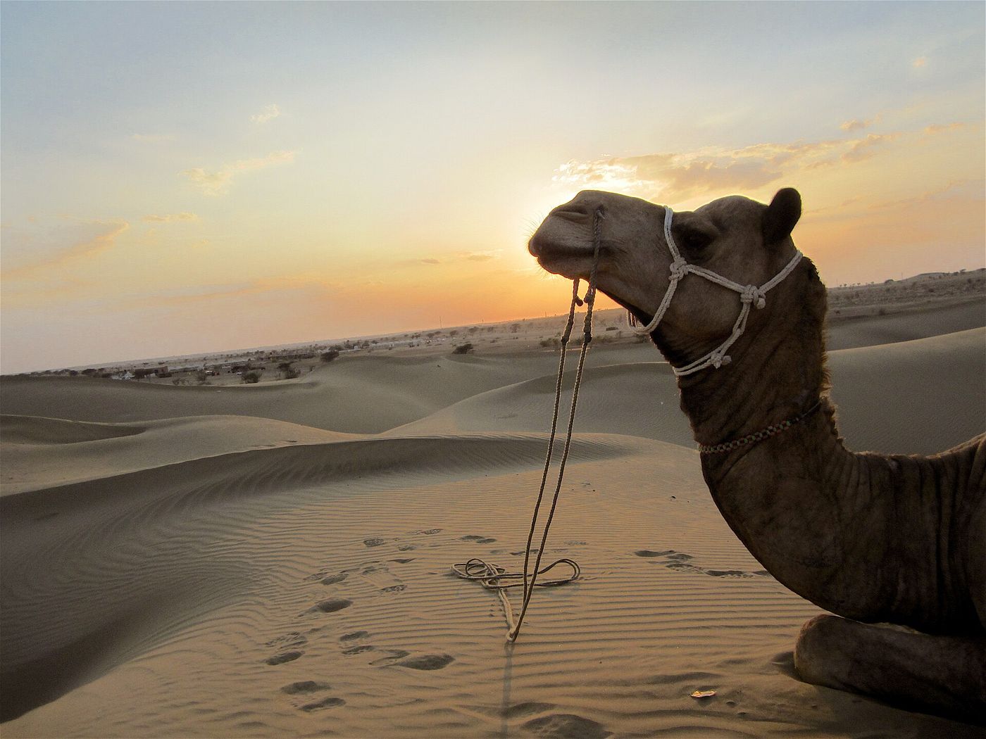 Rajasthan